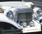 Preview: Autoschild "Just Married" in gold